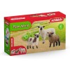 Schleich 42660 - Sheep Friends