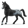 Schleich 72197 - Knappstrupper Stallion