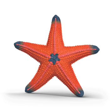 Schleich 14902 - Starfish Colour Change - Wild Life New 2026