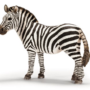 Schleich 14392 - Zebra Female