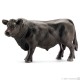 Schleich 13766 - Black Angus Bull