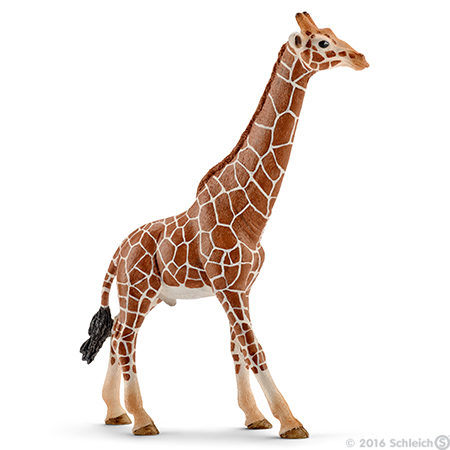 Schleich 14749 Giraffe, male