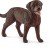 Schleich 13834 - Labrador Retriever Female Dog