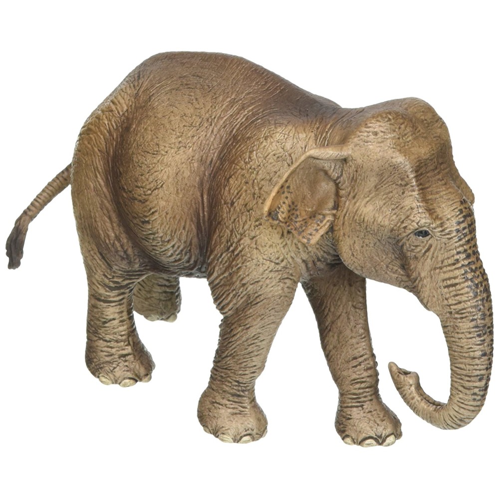 Schleich 14753 - Asian Elephant Female