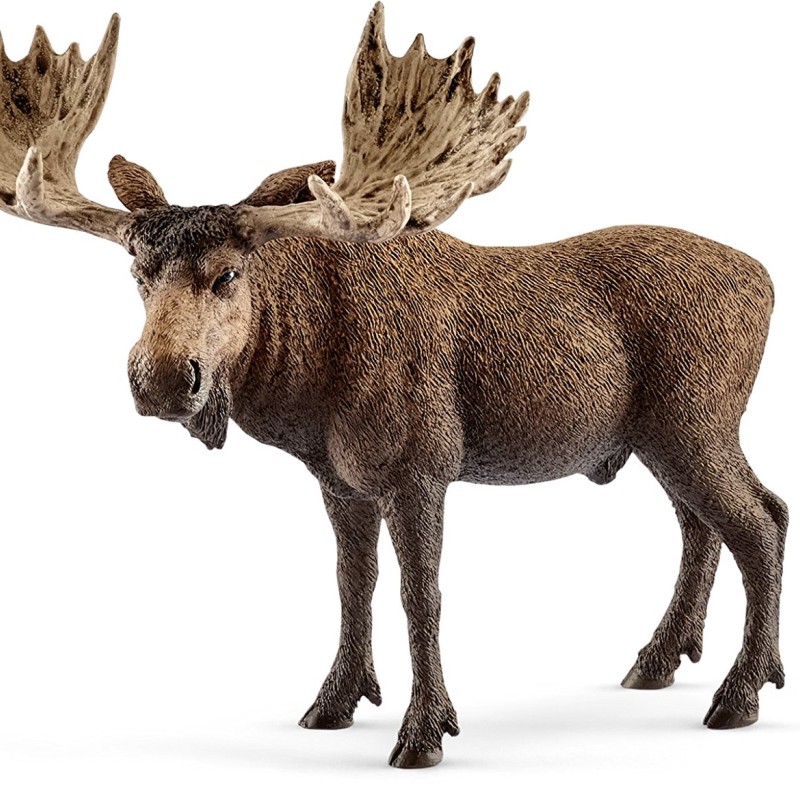 Schleich 14781 - Moose Bull