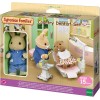 Sylvanian Families 5095 - Country Dentist Set