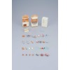 Sylvanian Families 5341 - Kitchen Play Set