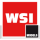 WSI Models